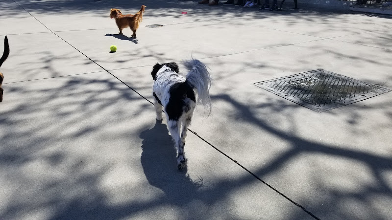 Carl Schurz Park Dog Runs