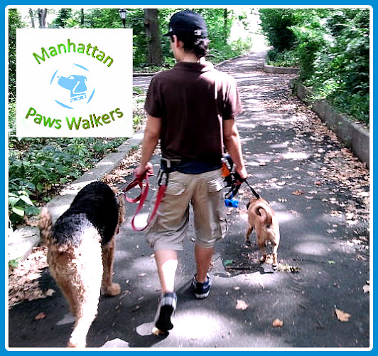 Manhattan Paws Dog Walkers NYC Service