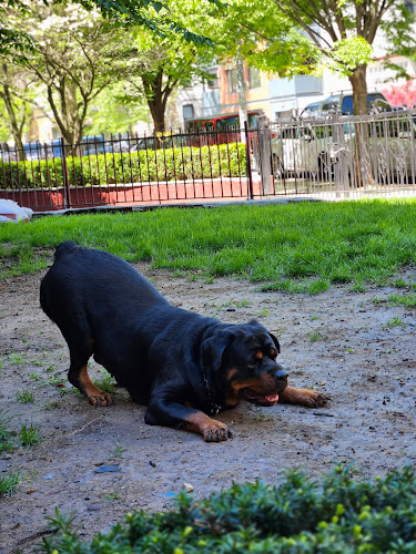 Reigning Rotts Kennel