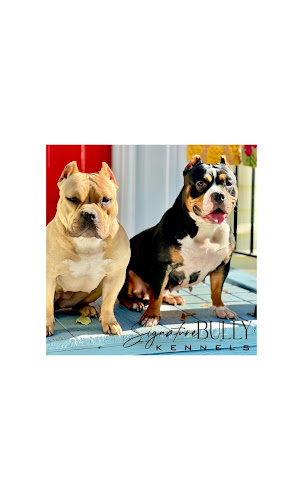 Signature Bully Kennels