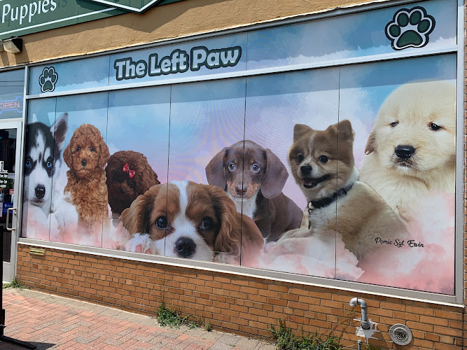 The Left Paw Puppies